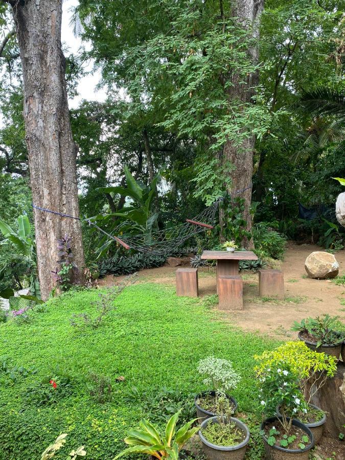 Pearl'S Homestay Matale Exterior foto